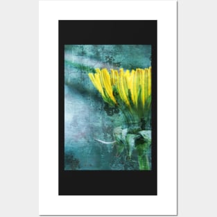 Dandelion distressed Posters and Art